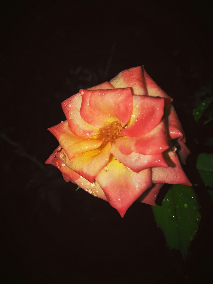 jaydeepsinh