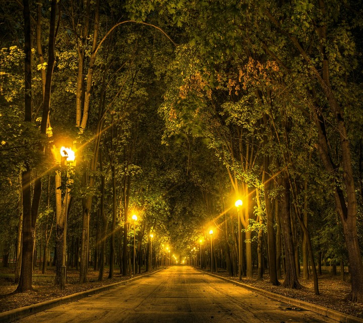 night