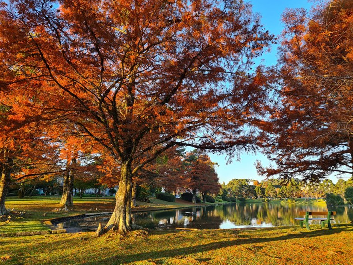 Autumn in "Gramado-RS-BR"