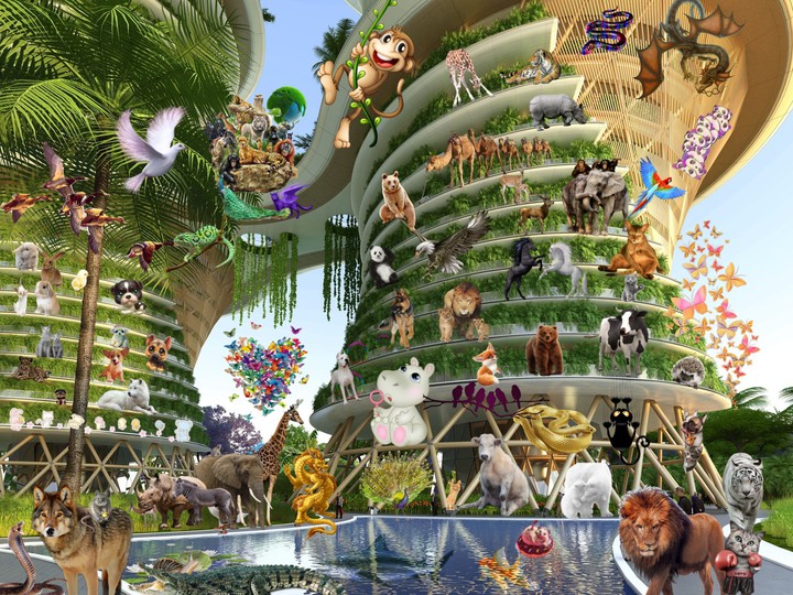 Animal Dome