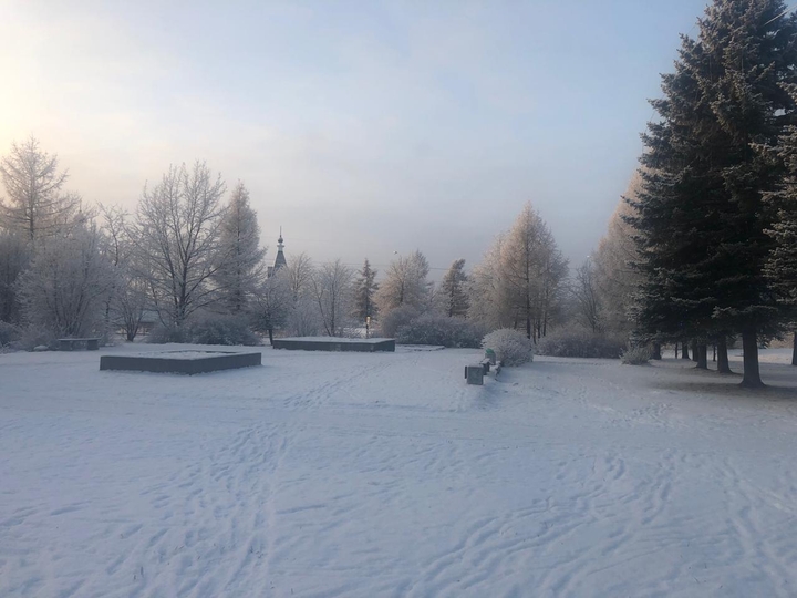 Зимнее утро