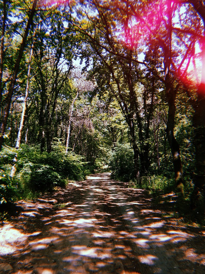 nature