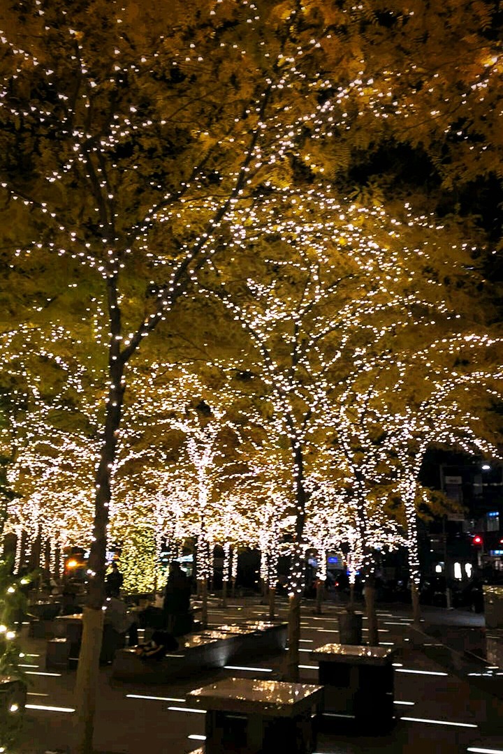 light in the dark