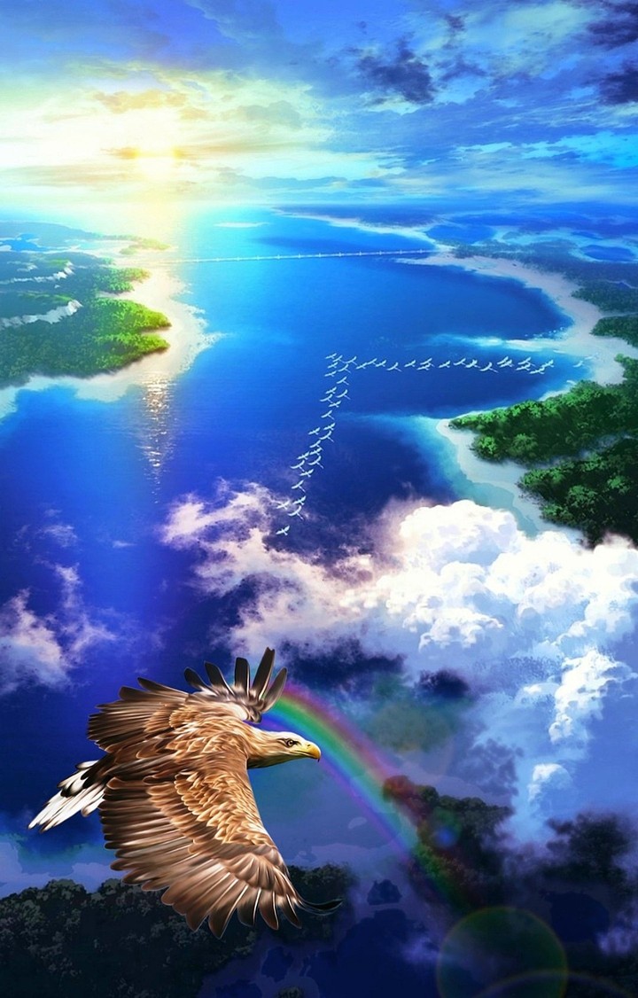 from above