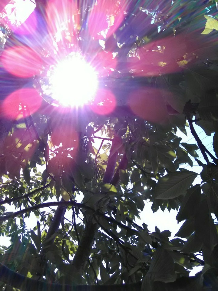 Sun