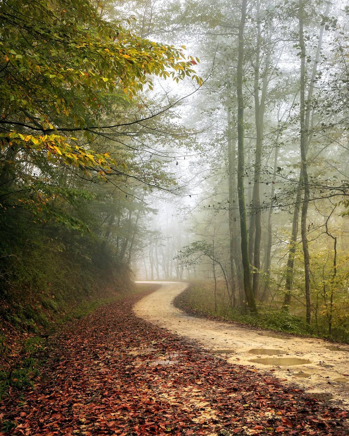 Mazandaran Nature