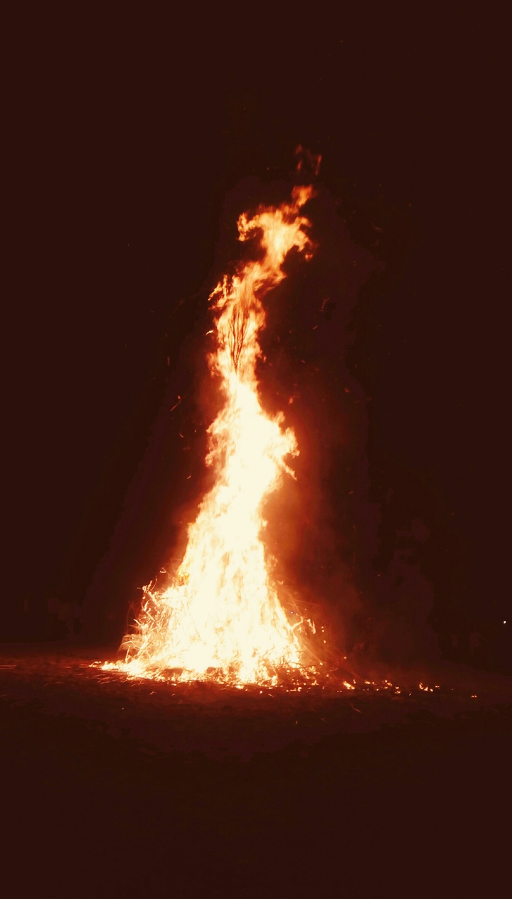 holi