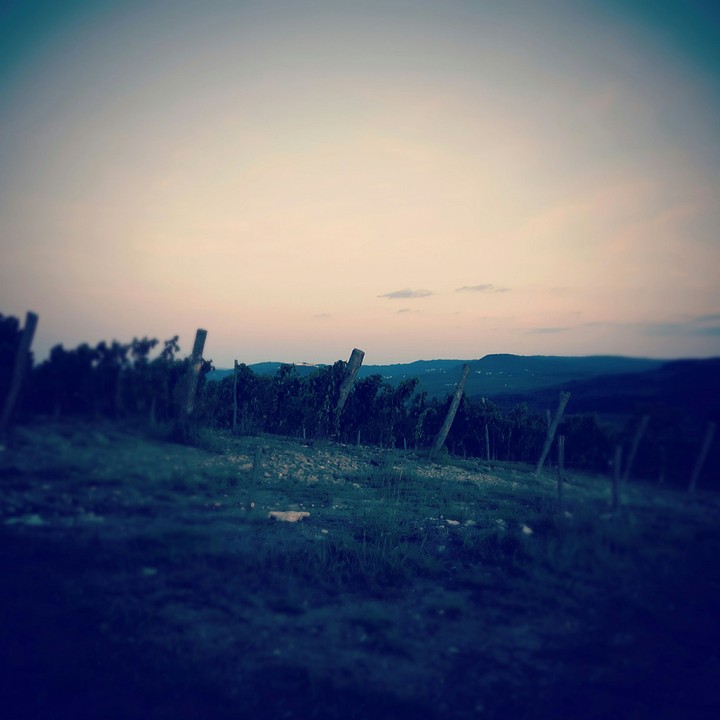 Horizont