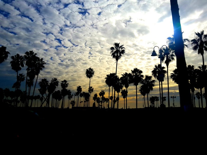 venice beach