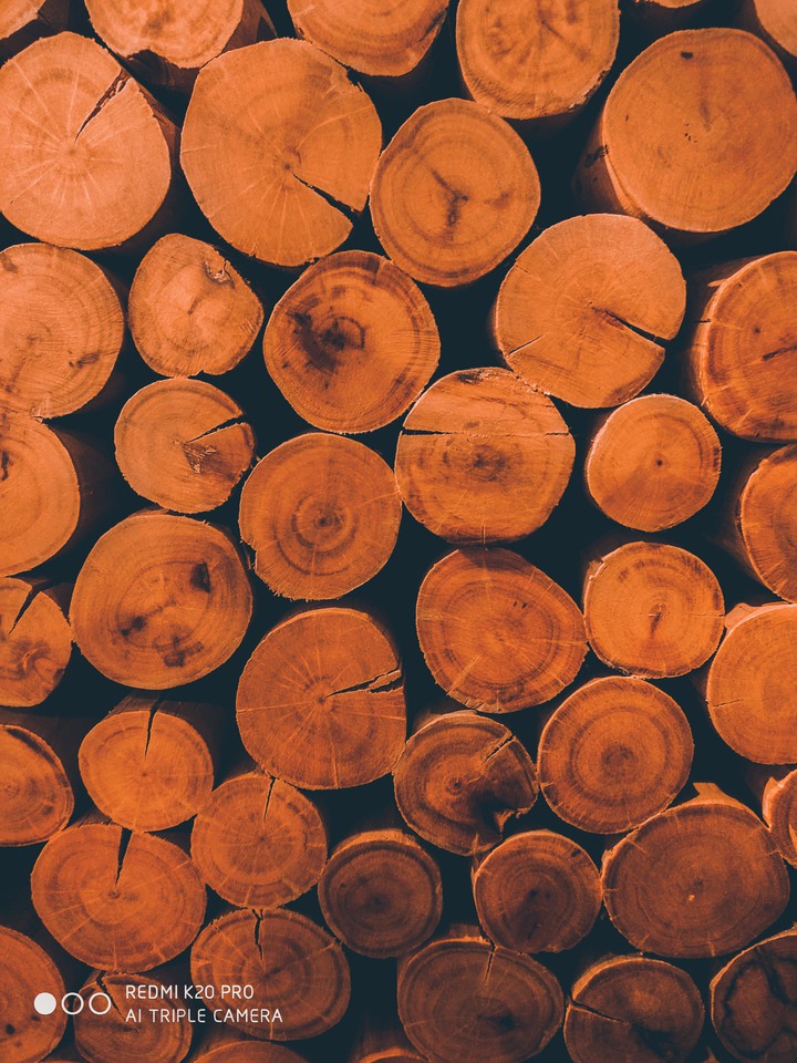 wood