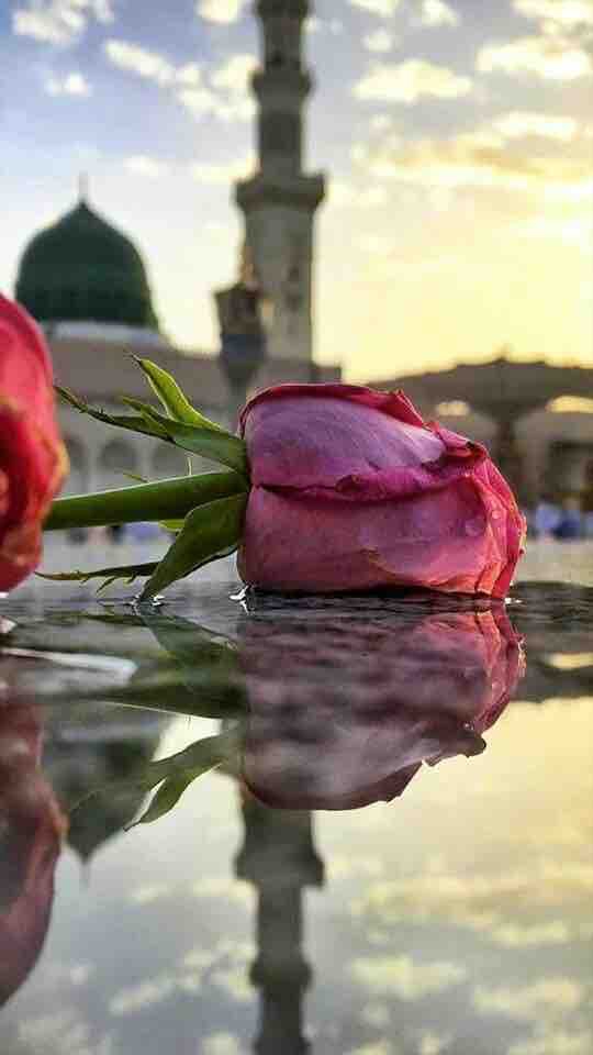 Peace and Joy