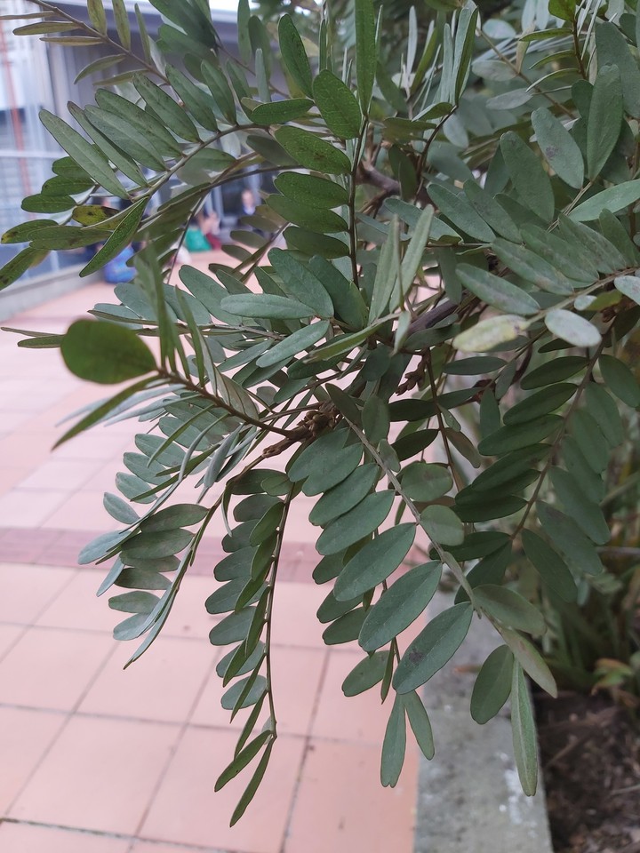 ?