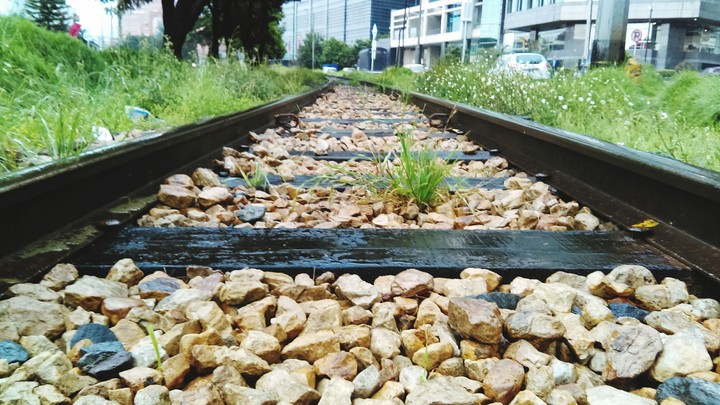 vías del antiguo tren de Bogotá