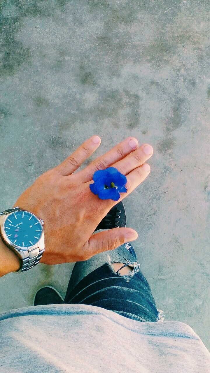 flower