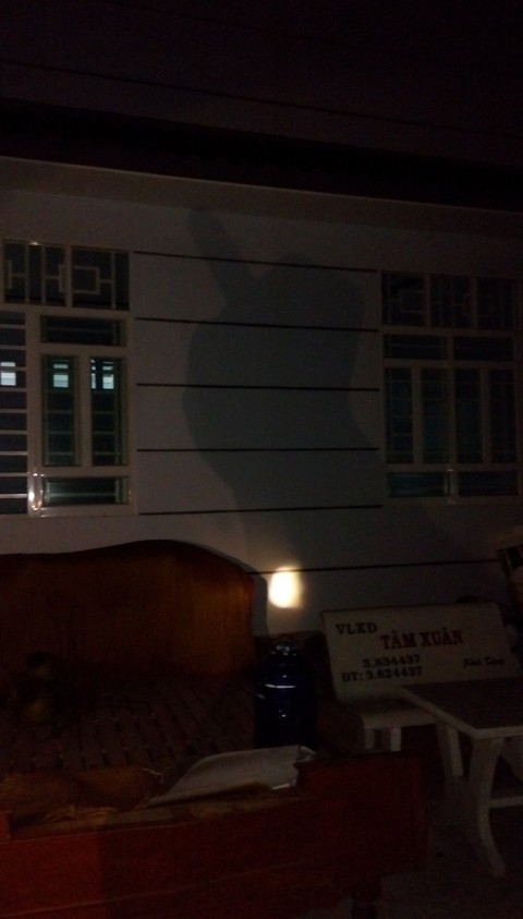night