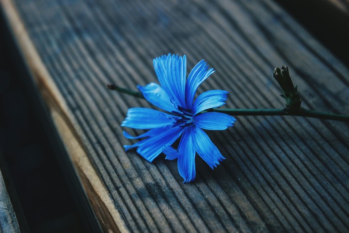 blue