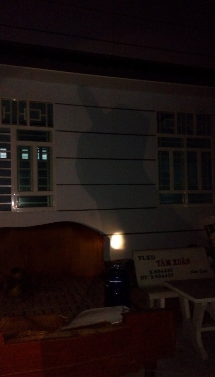 night