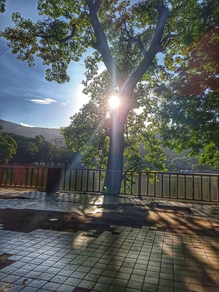 Sunset love