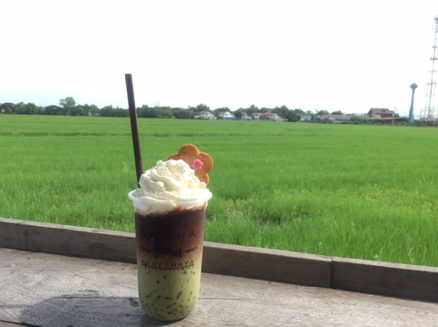 Tea on farm