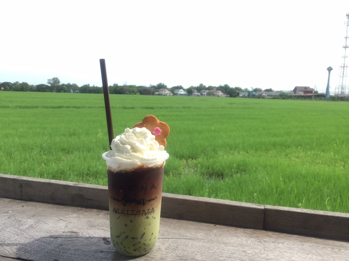 Tea on farm