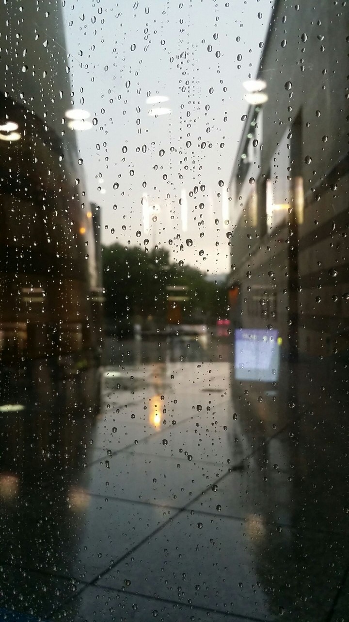 rain
