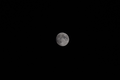 Moon