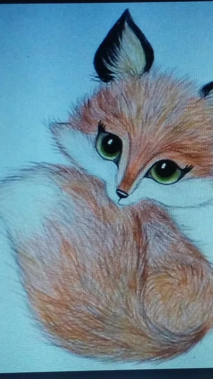cute female fox drawing