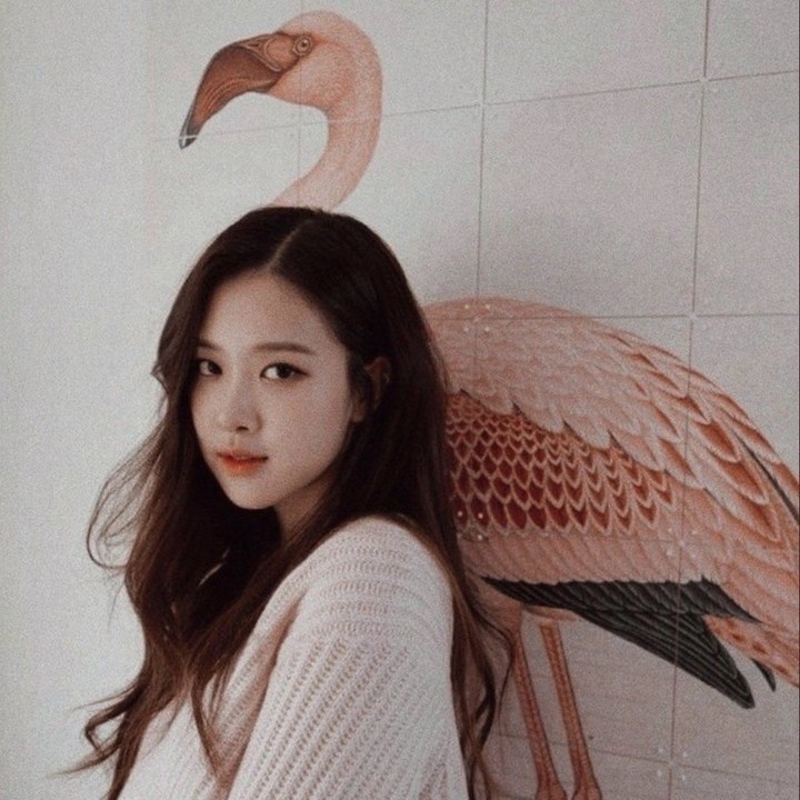 rosè plackpink