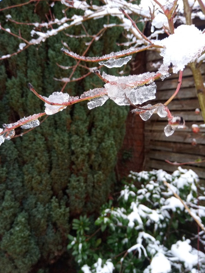 snow