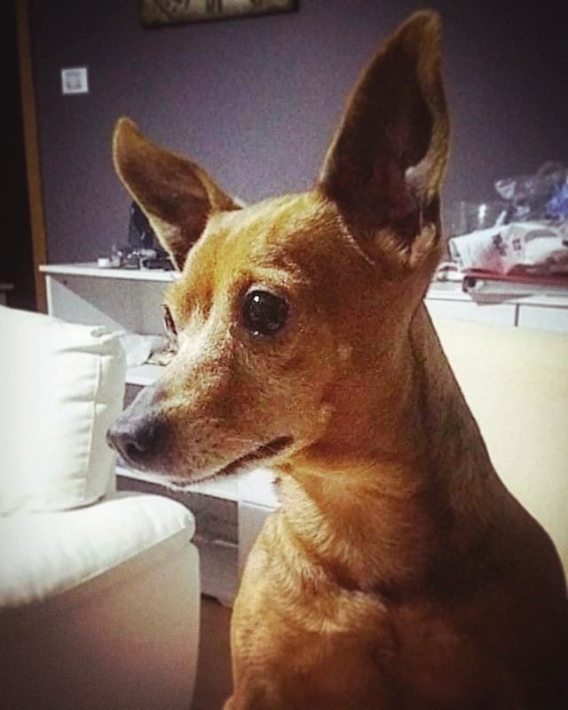 #mylove