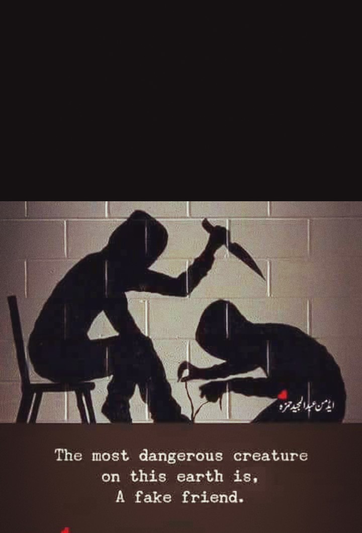 Fake Friend