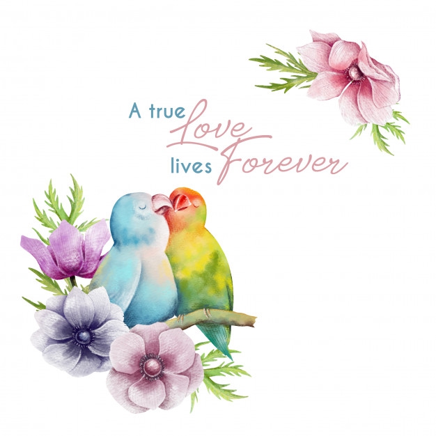 True Love ?