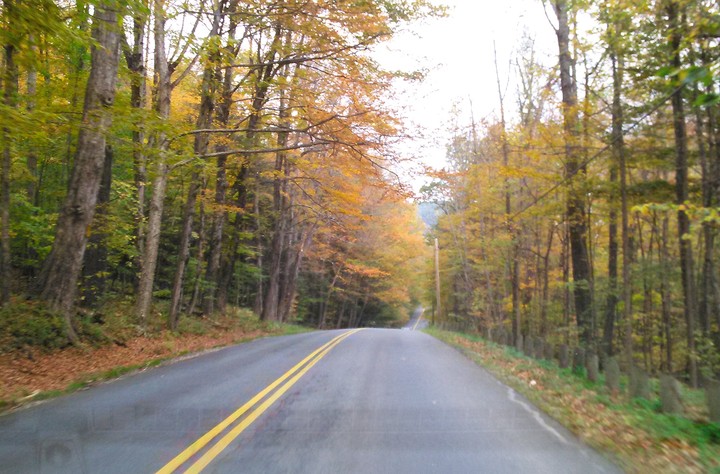 Drive through the Fall