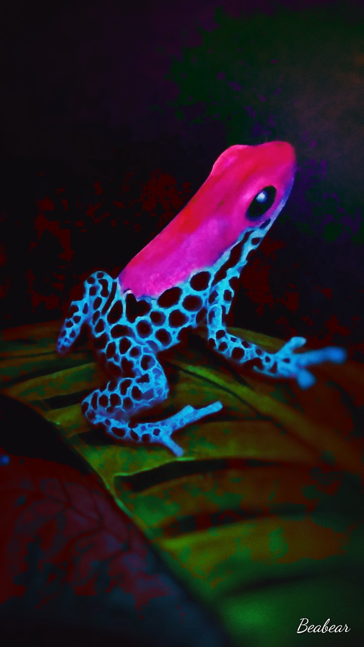 Amazing Frog