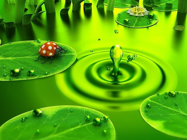 ...