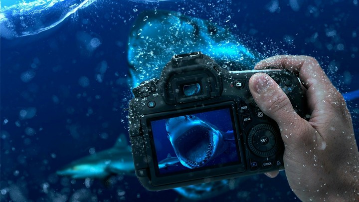 photoshoot photography...