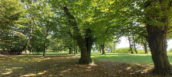 Park