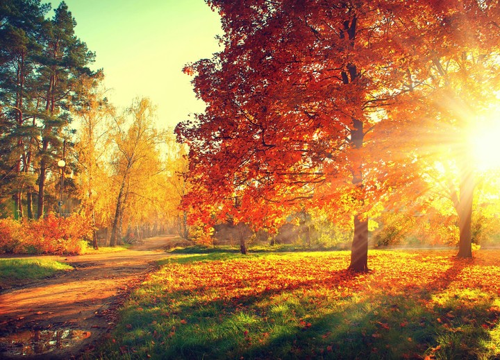 autumn HD
