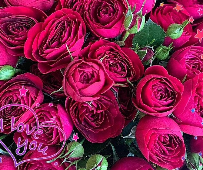 fleurs