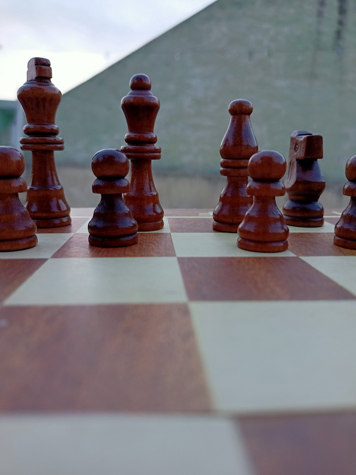 Chess Beauty