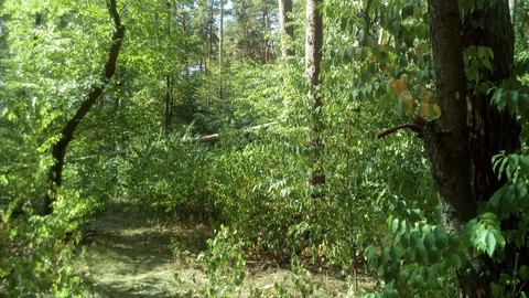 Красота природы