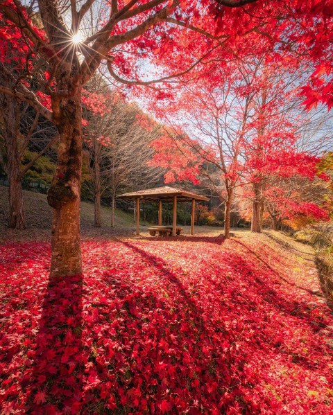 Autumn?