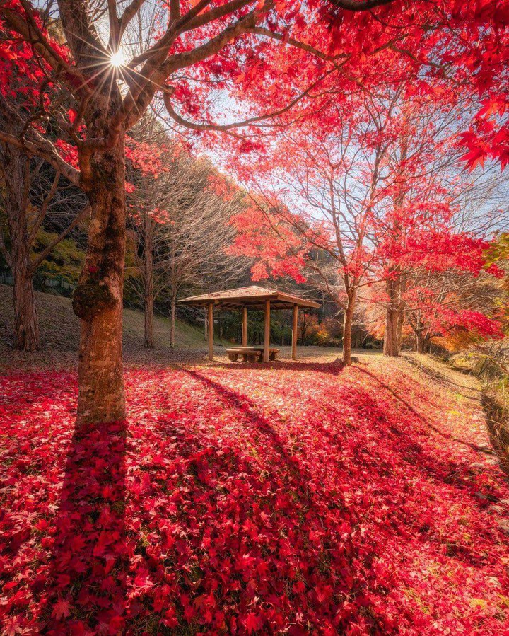 Autumn?
