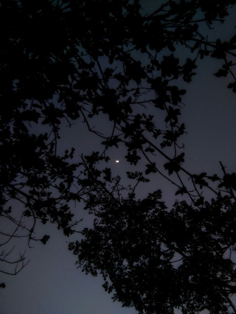 moon