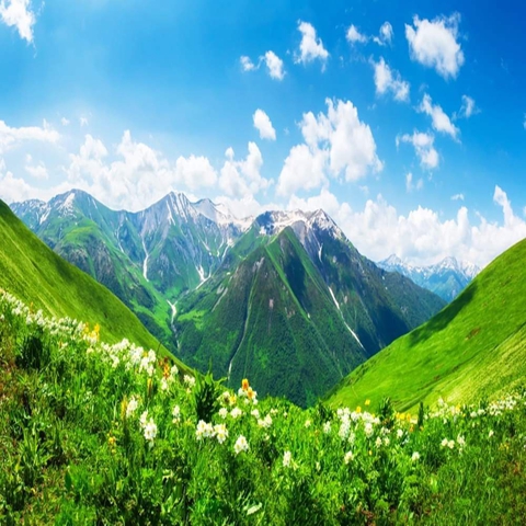 nature