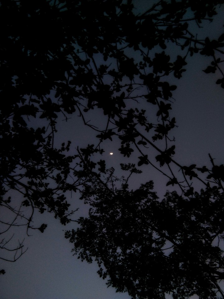 moon