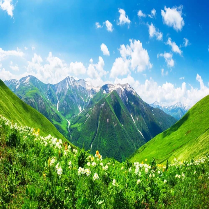 nature