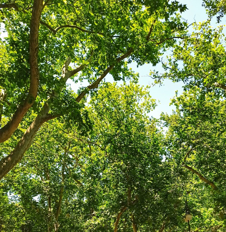 Feeling the nature