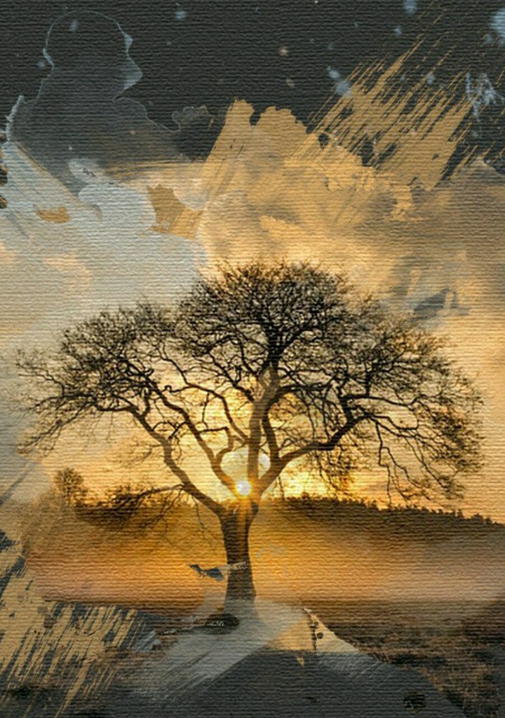 Three