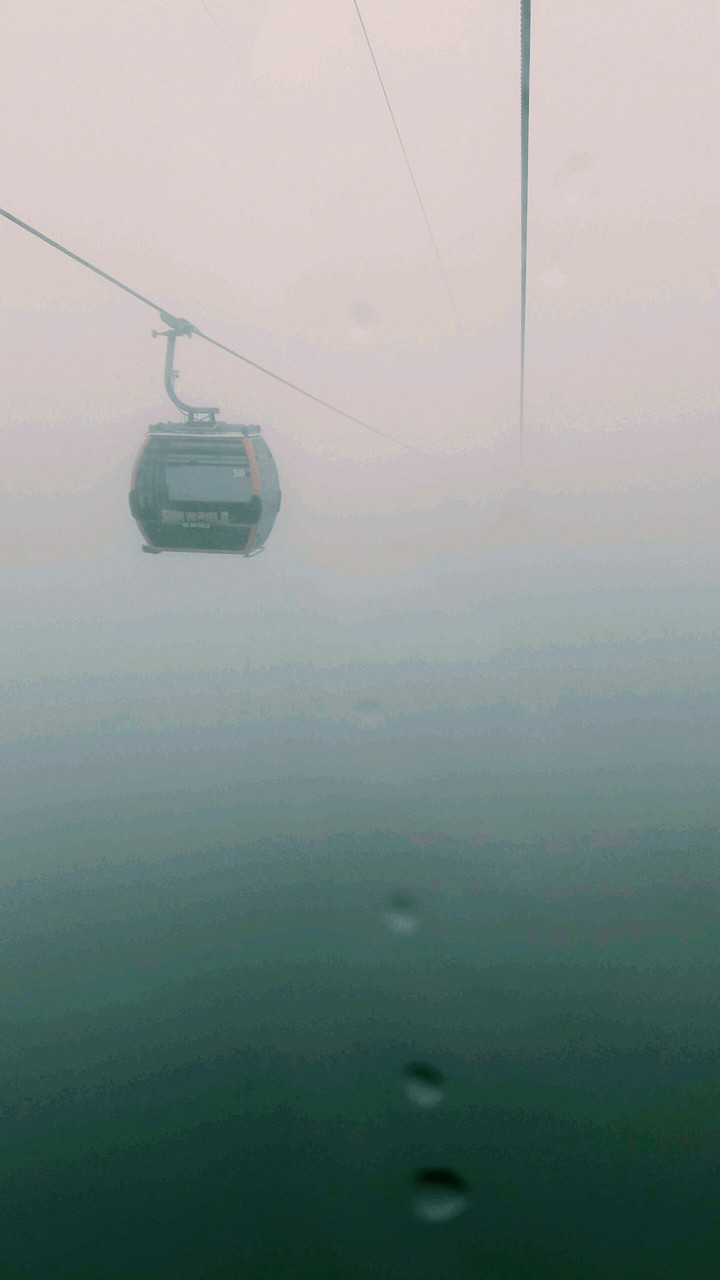 the fog
